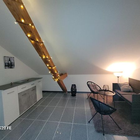 Penthouse N74 Linz 120 Qm Kids Welcome! Exteriör bild