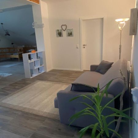 Penthouse N74 Linz 120 Qm Kids Welcome! Exteriör bild