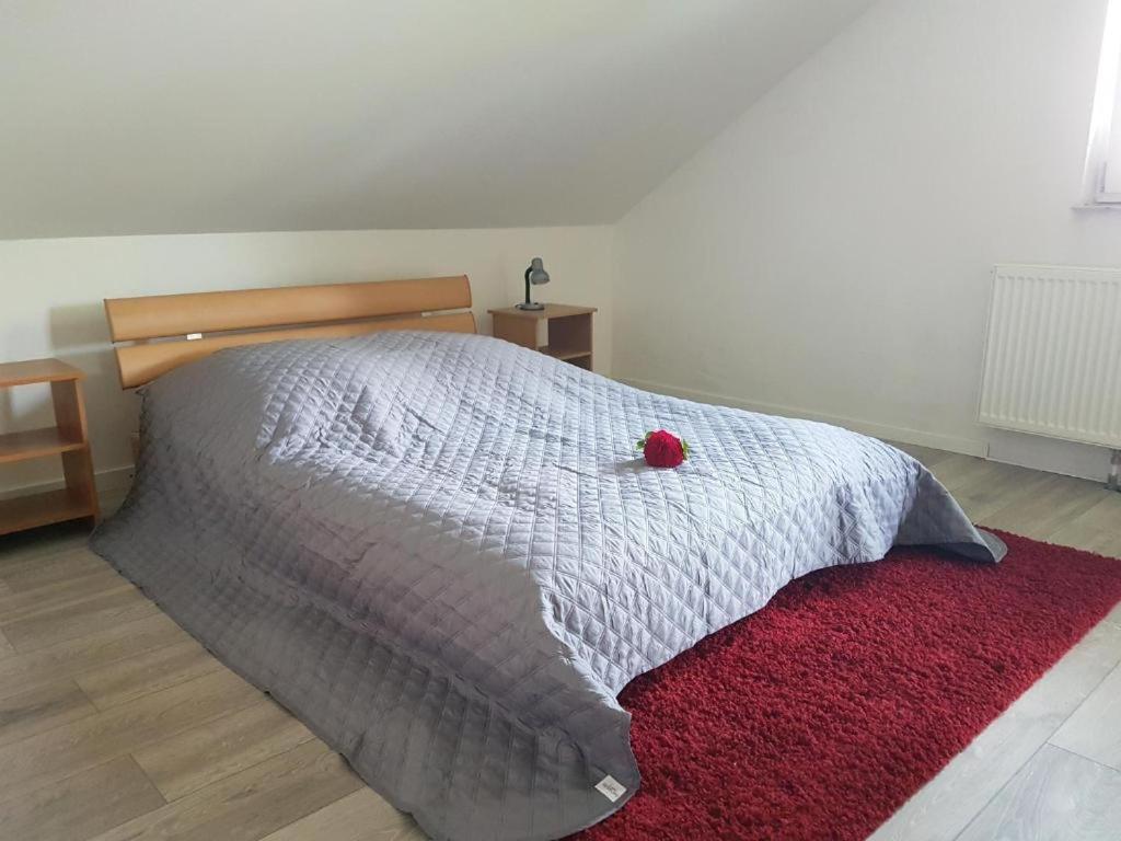 Penthouse N74 Linz 120 Qm Kids Welcome! Exteriör bild