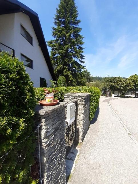 Penthouse N74 Linz 120 Qm Kids Welcome! Exteriör bild