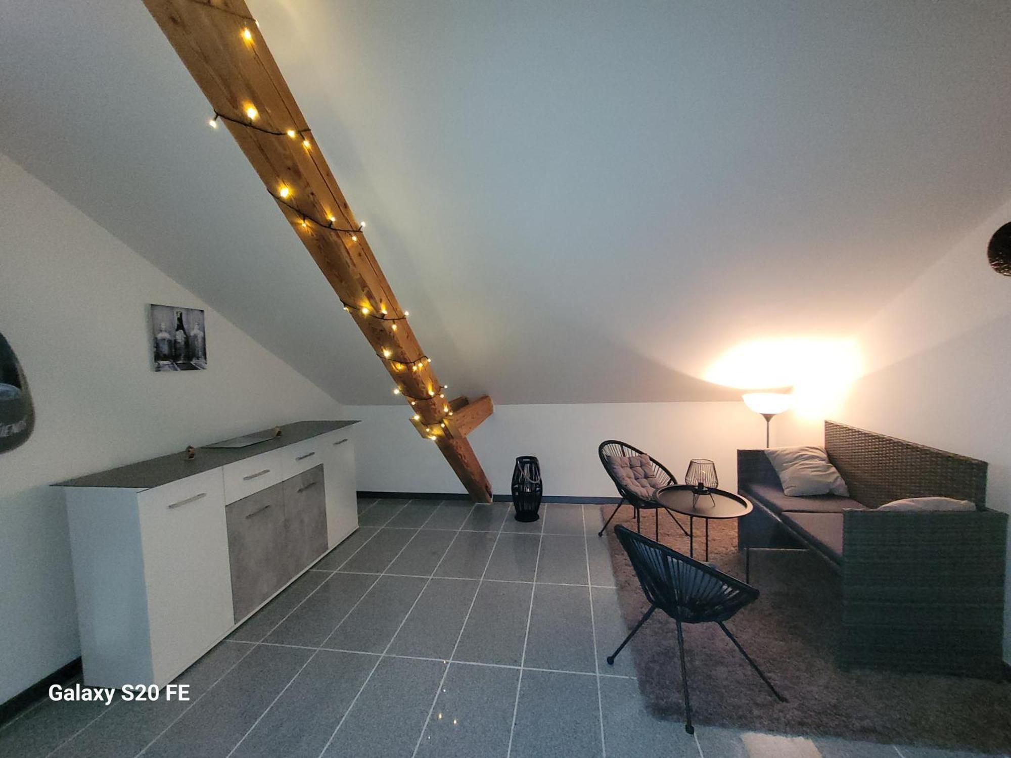 Penthouse N74 Linz 120 Qm Kids Welcome! Exteriör bild